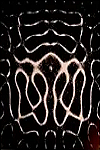 Comic page 20 thumbnail