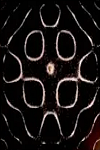 Comic page 4 thumbnail