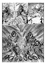 Comic page 7 thumbnail